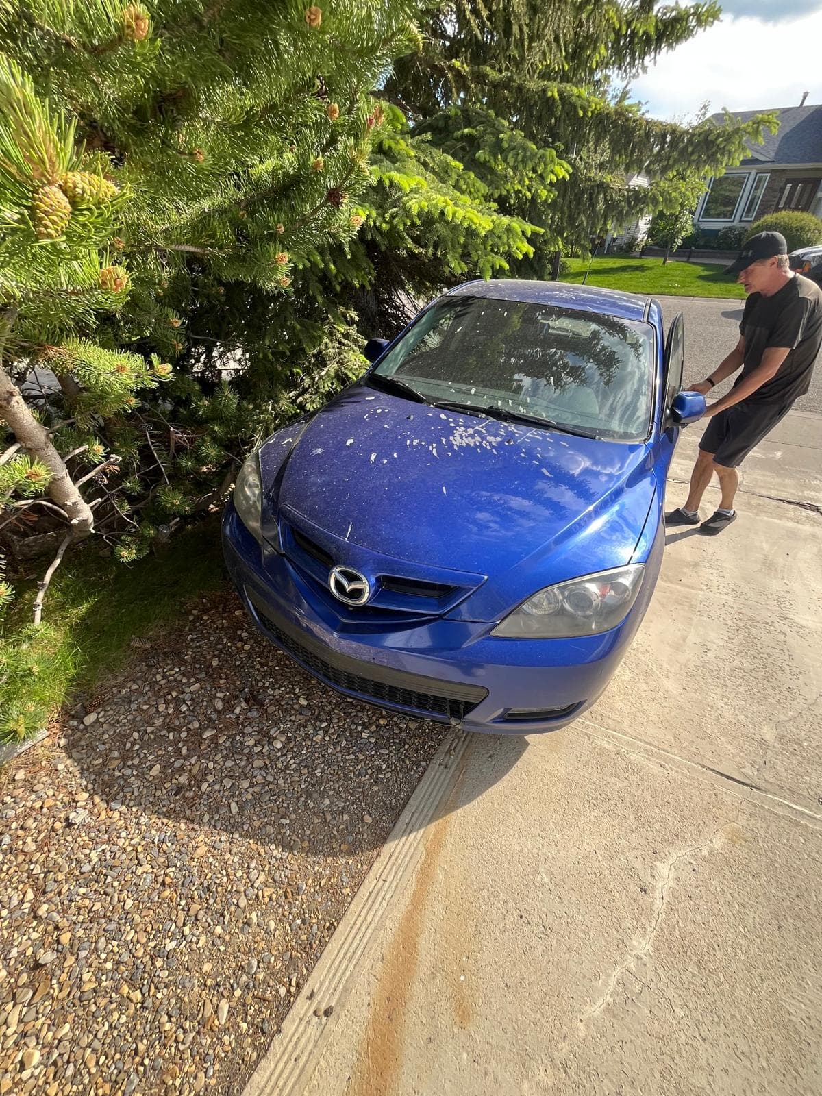 Vehicle types we buy in Okotoks